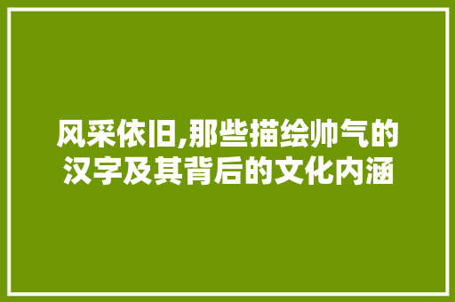 风采依旧,那些描绘帅气的汉字及其背后的文化内涵
