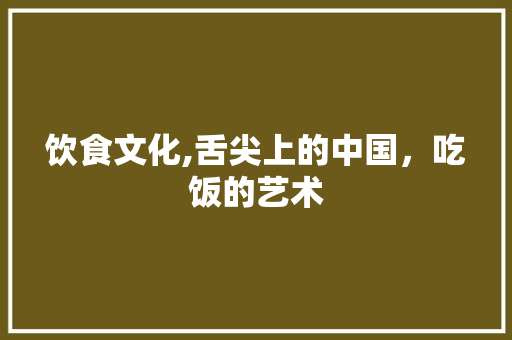 饮食文化,舌尖上的中国，吃饭的艺术