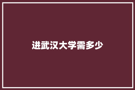 进武汉大学需多少