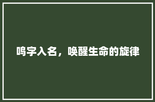 鸣字入名，唤醒生命的旋律