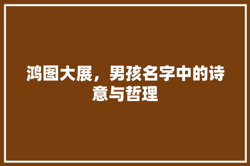 鸿图大展，男孩名字中的诗意与哲理
