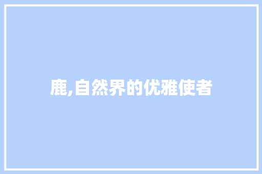 鹿,自然界的优雅使者