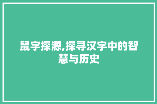 鼠字探源,探寻汉字中的智慧与历史