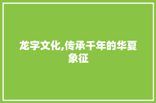 龙字文化,传承千年的华夏象征