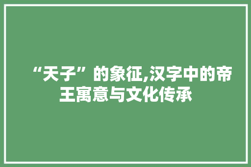 “天子”的象征,汉字中的帝王寓意与文化传承