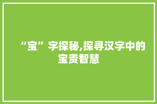 “宝”字探秘,探寻汉字中的宝贵智慧