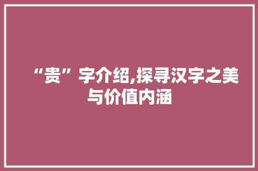 “贵”字介绍,探寻汉字之美与价值内涵