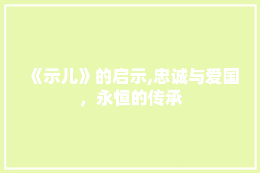 《示儿》的启示,忠诚与爱国，永恒的传承