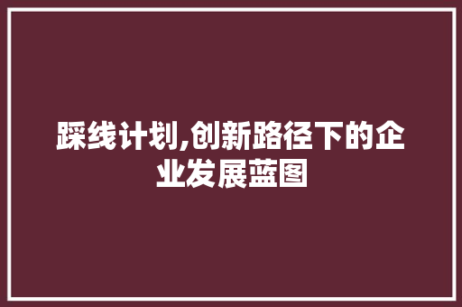 踩线计划,创新路径下的企业发展蓝图