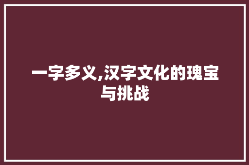 一字多义,汉字文化的瑰宝与挑战