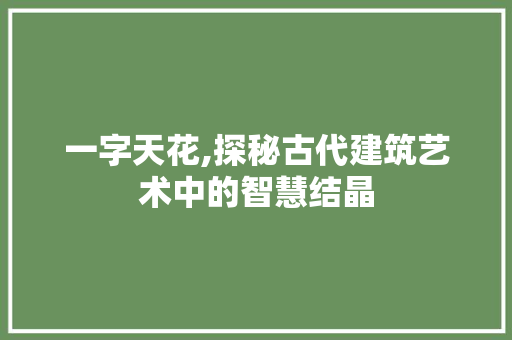 一字天花,探秘古代建筑艺术中的智慧结晶
