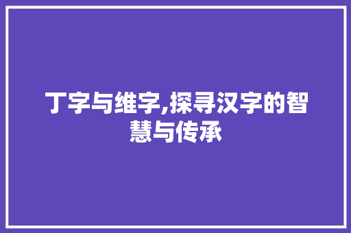 丁字与维字,探寻汉字的智慧与传承