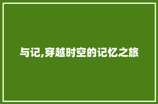 与记,穿越时空的记忆之旅