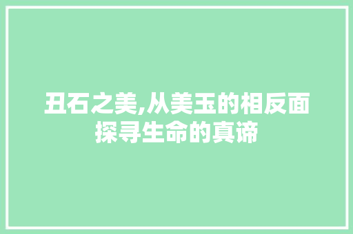 丑石之美,从美玉的相反面探寻生命的真谛