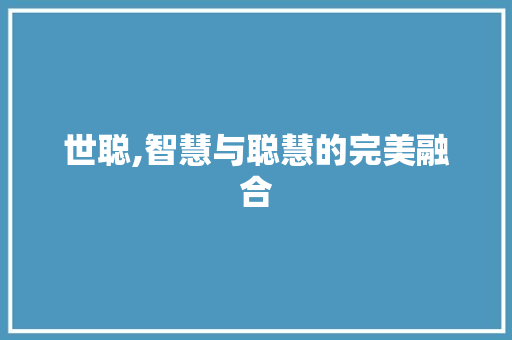 世聪,智慧与聪慧的完美融合