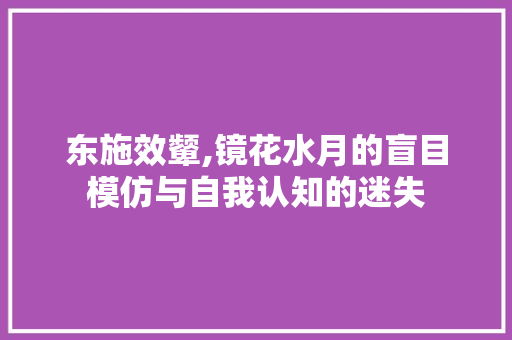 东施效颦,镜花水月的盲目模仿与自我认知的迷失