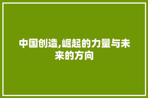 中国创造,崛起的力量与未来的方向