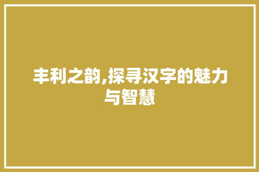 丰利之韵,探寻汉字的魅力与智慧