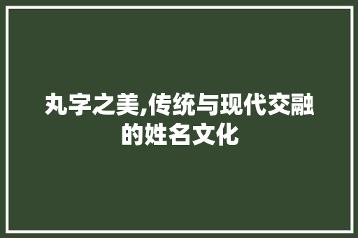 丸字之美,传统与现代交融的姓名文化
