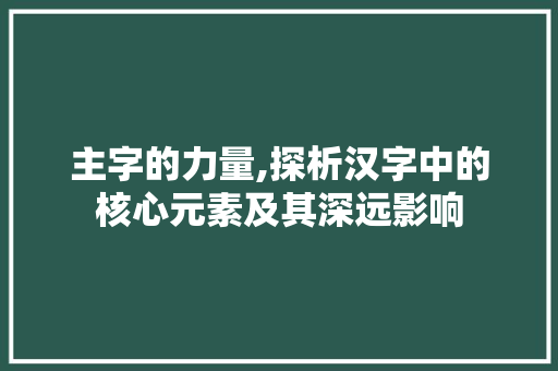 主字的力量,探析汉字中的核心元素及其深远影响