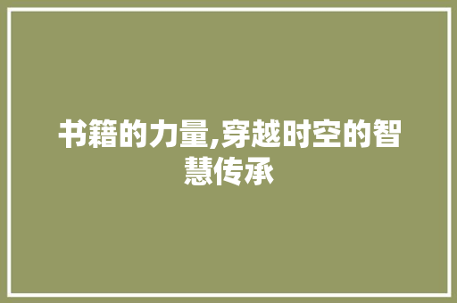 书籍的力量,穿越时空的智慧传承