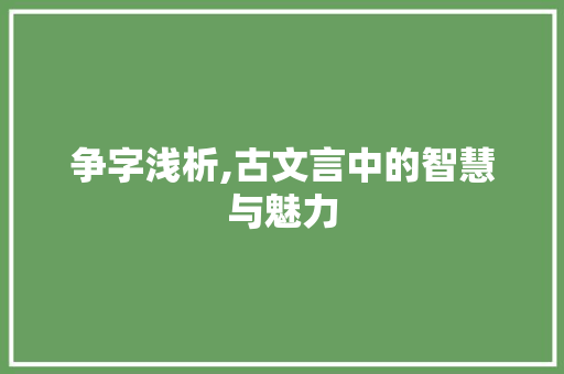 争字浅析,古文言中的智慧与魅力