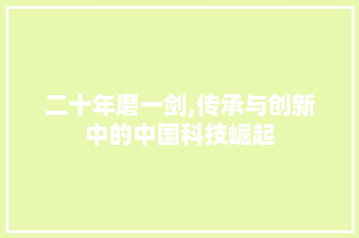 二十年磨一剑,传承与创新中的中国科技崛起