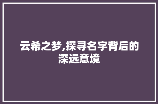 云希之梦,探寻名字背后的深远意境