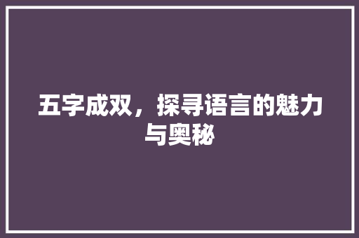 五字成双，探寻语言的魅力与奥秘
