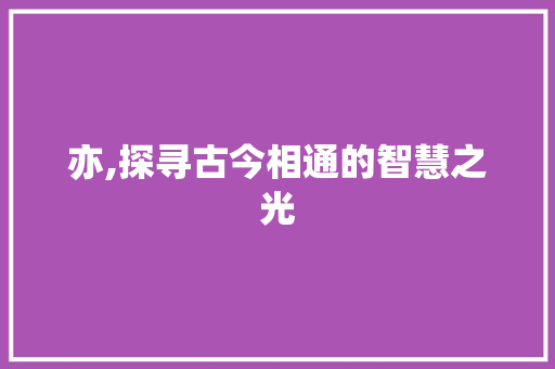 亦,探寻古今相通的智慧之光
