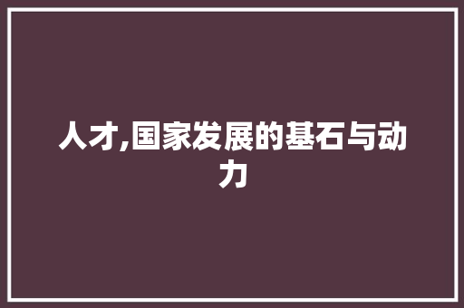 人才,国家发展的基石与动力