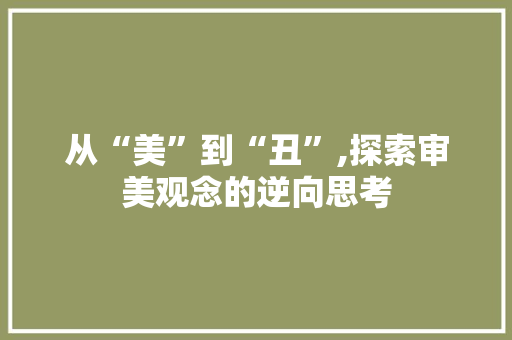 从“美”到“丑”,探索审美观念的逆向思考
