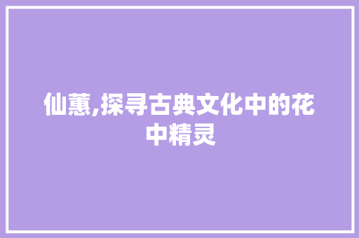 仙蕙,探寻古典文化中的花中精灵