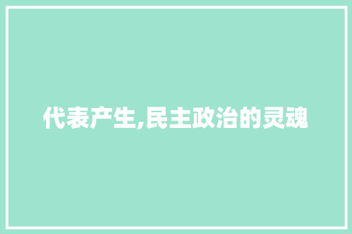 代表产生,民主政治的灵魂