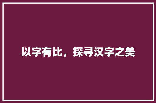 以字有比，探寻汉字之美