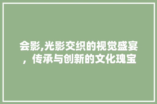 会影,光影交织的视觉盛宴，传承与创新的文化瑰宝