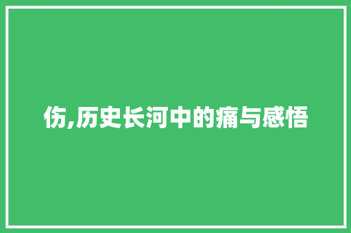 伤,历史长河中的痛与感悟