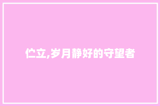 伫立,岁月静好的守望者
