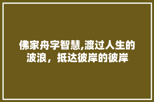 佛家舟字智慧,渡过人生的波浪，抵达彼岸的彼岸