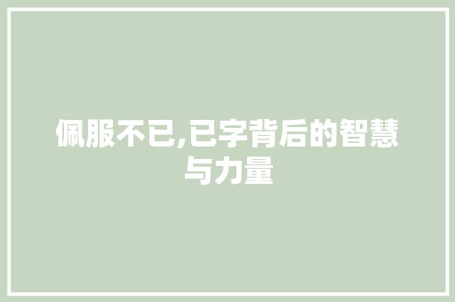 佩服不已,已字背后的智慧与力量