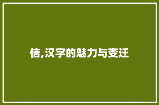 佶,汉字的魅力与变迁