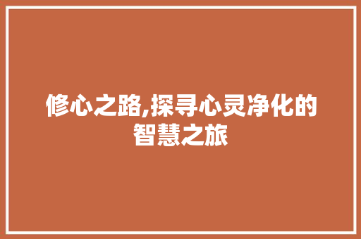 修心之路,探寻心灵净化的智慧之旅