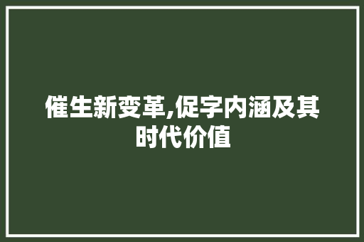 催生新变革,促字内涵及其时代价值