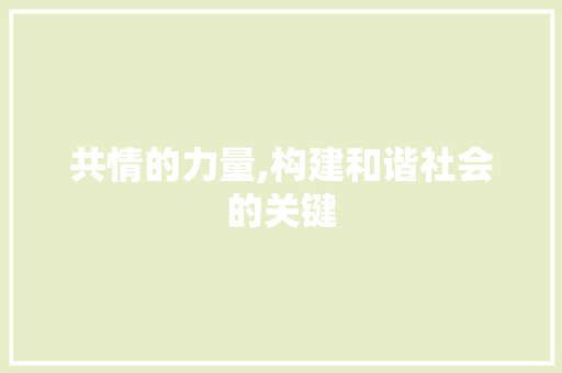 共情的力量,构建和谐社会的关键
