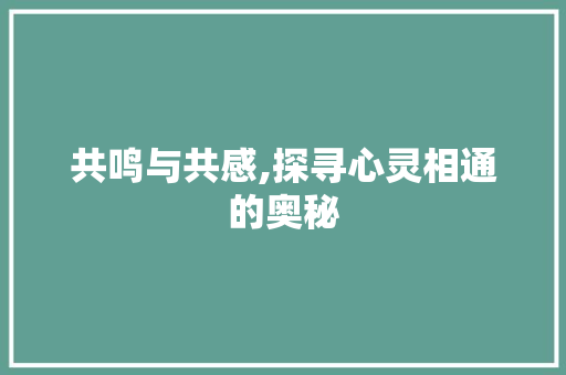 共鸣与共感,探寻心灵相通的奥秘