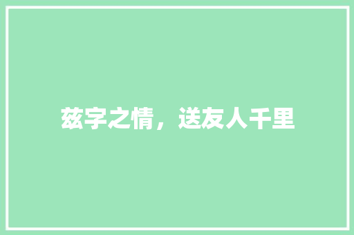 兹字之情，送友人千里