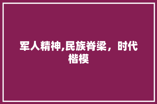 军人精神,民族脊梁，时代楷模
