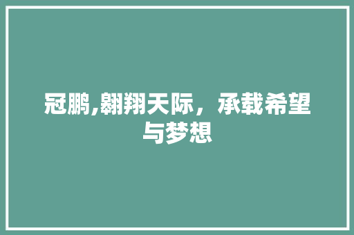 冠鹏,翱翔天际，承载希望与梦想