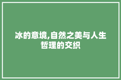 冰的意境,自然之美与人生哲理的交织