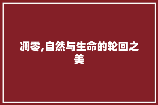 凋零,自然与生命的轮回之美